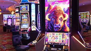 Book of Dead free spins feature video on plazabola Book of Dead free spins feature video on plazabola
